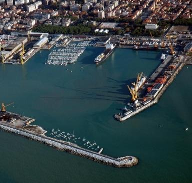 Volpi sul porto: è di tutta la provincia non solo di Carrara 