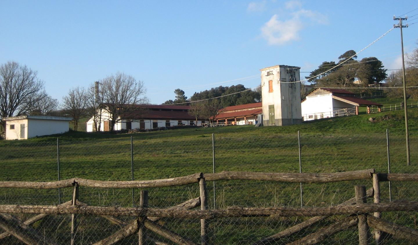 Burgos, la Confartigianato punta sul turismo equestre 