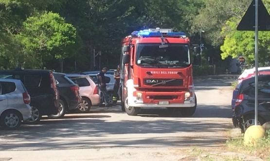 Il padre la lascia in auto, muore a un anno