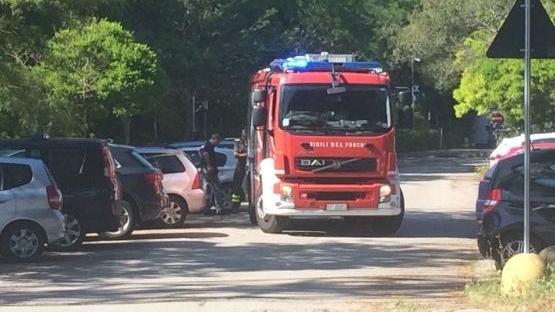 Il padre la lascia in auto, muore a un anno