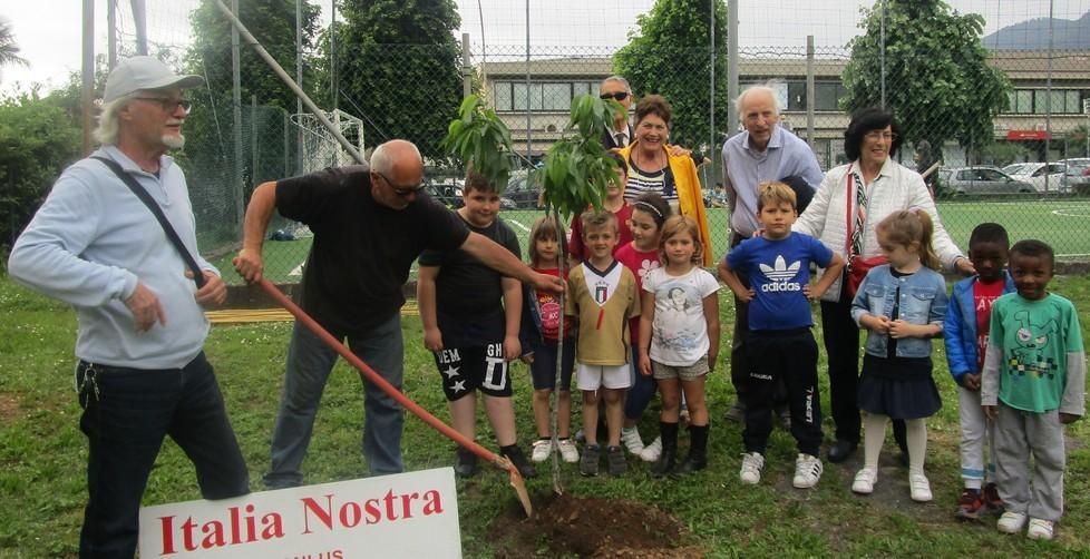 Massa, i bimbi piantano gli alberi al parco dei Ciliegi 