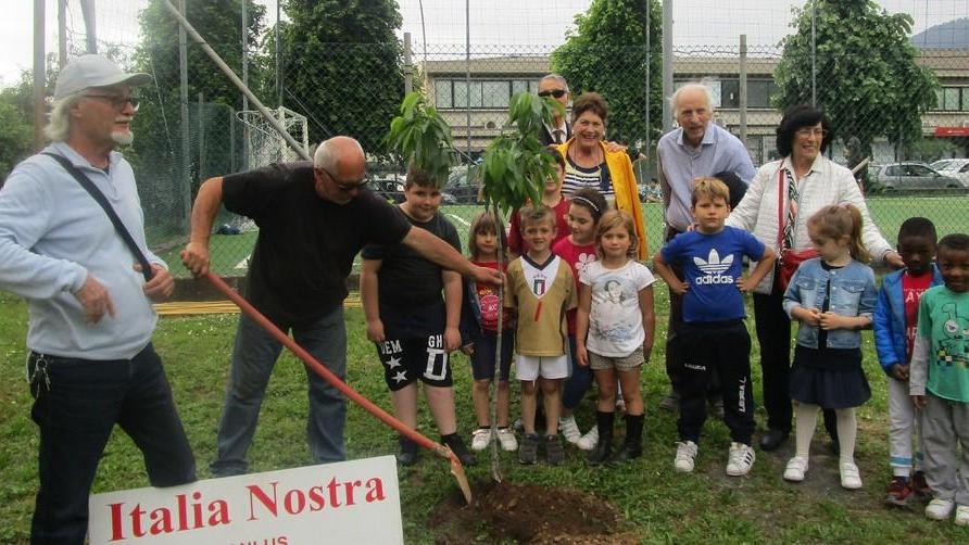 Massa, i bimbi piantano gli alberi al parco dei Ciliegi