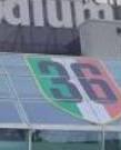 Non sono 36, l’avvocato denuncia