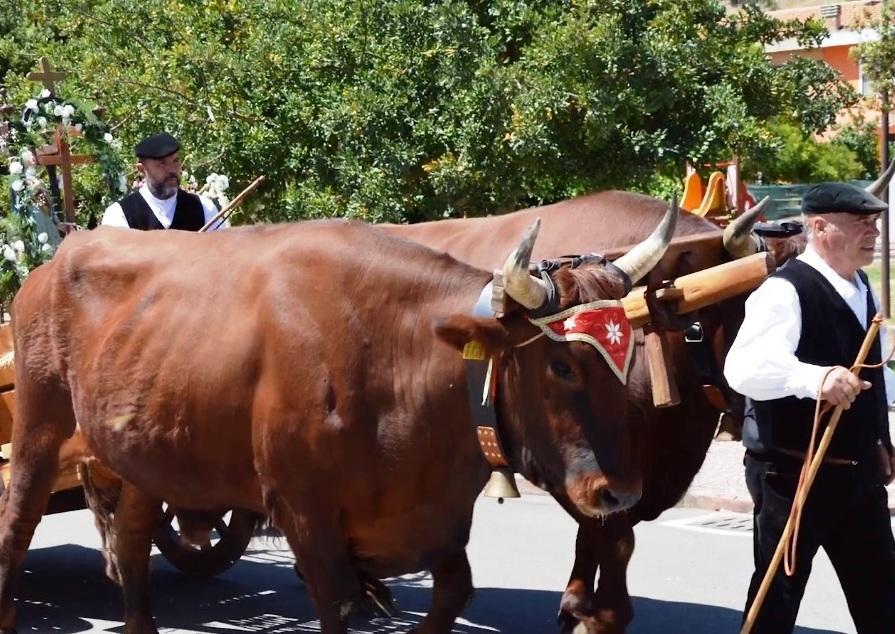 Iniziano oggi i festeggiamenti per la patrona Sant’Elena 