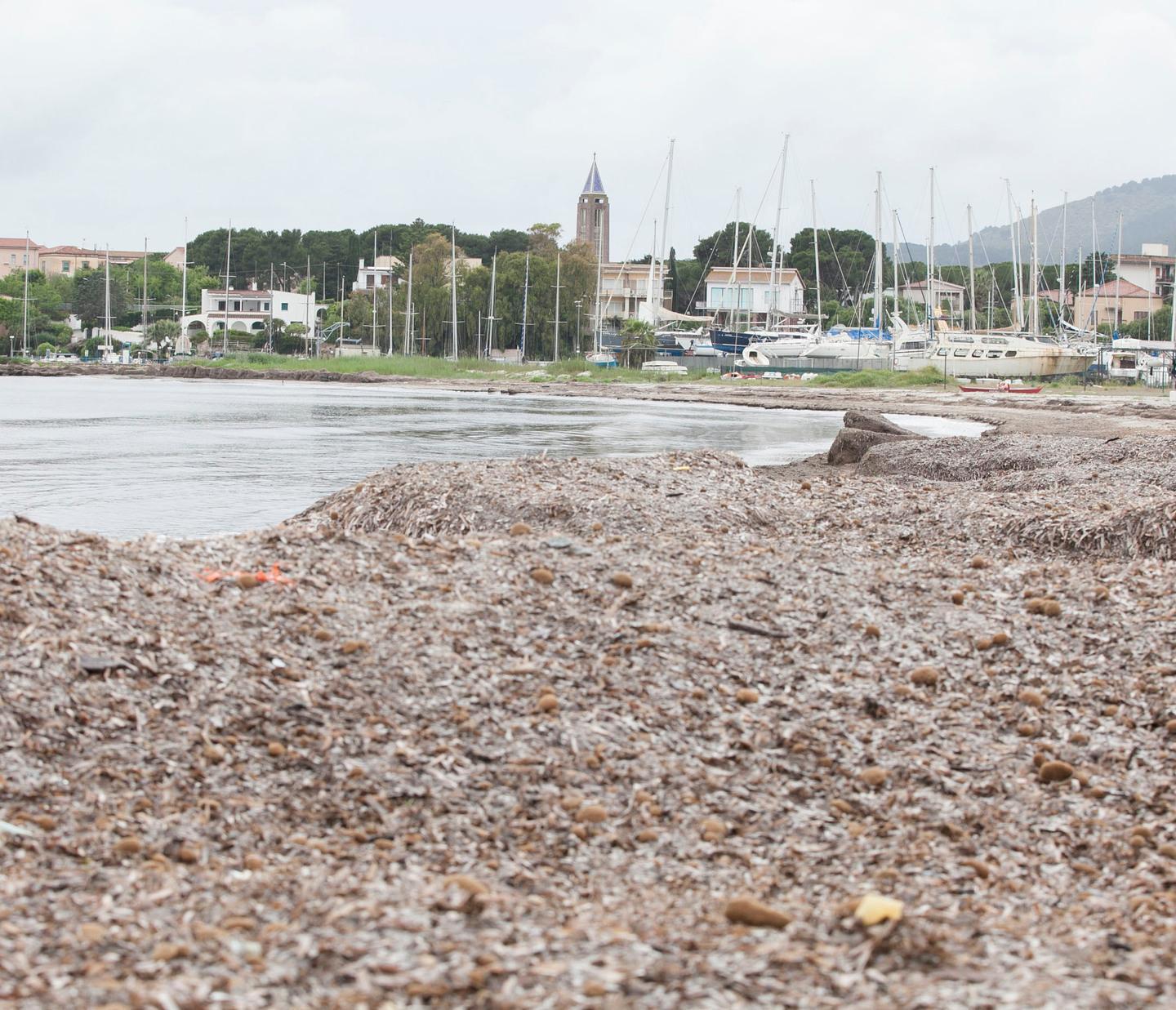Posidonia spiaggiata, arenili inaccessibili: la protesta dei balneari 