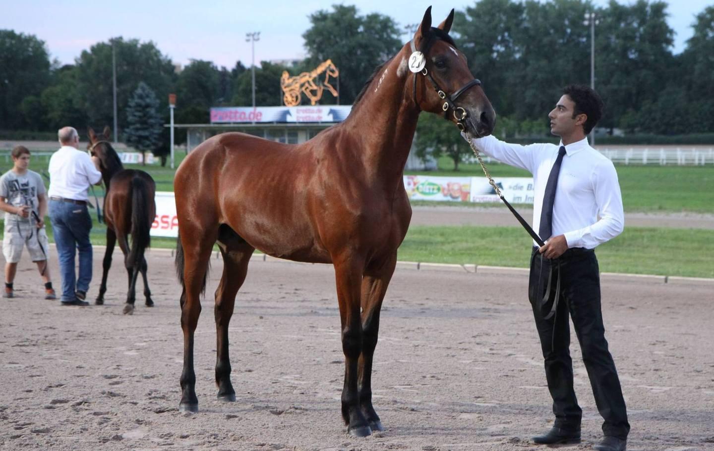 Roquero sfida i più grandi al Derby d’Italia 