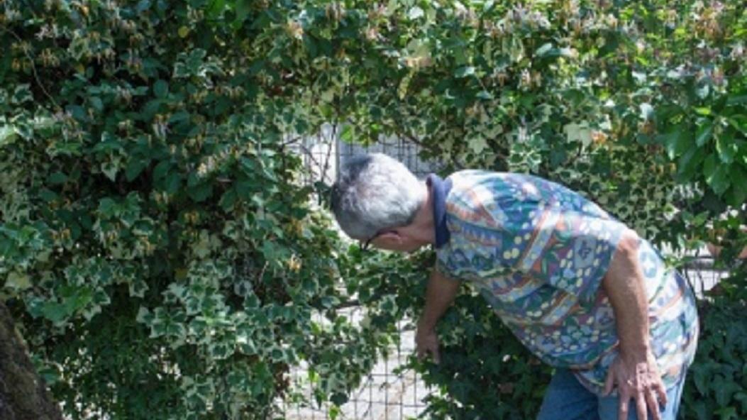 Ladro scoperto si chiude in camera a Modena
