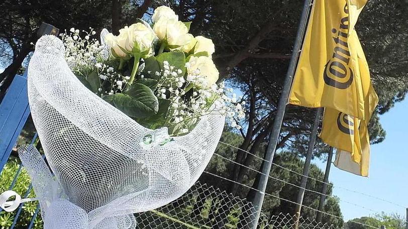 Riglione si sveglia ferita