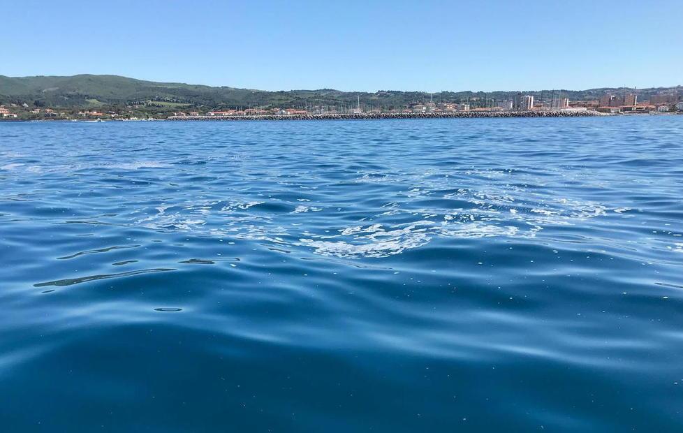In mare compaiono schiume e chiazze