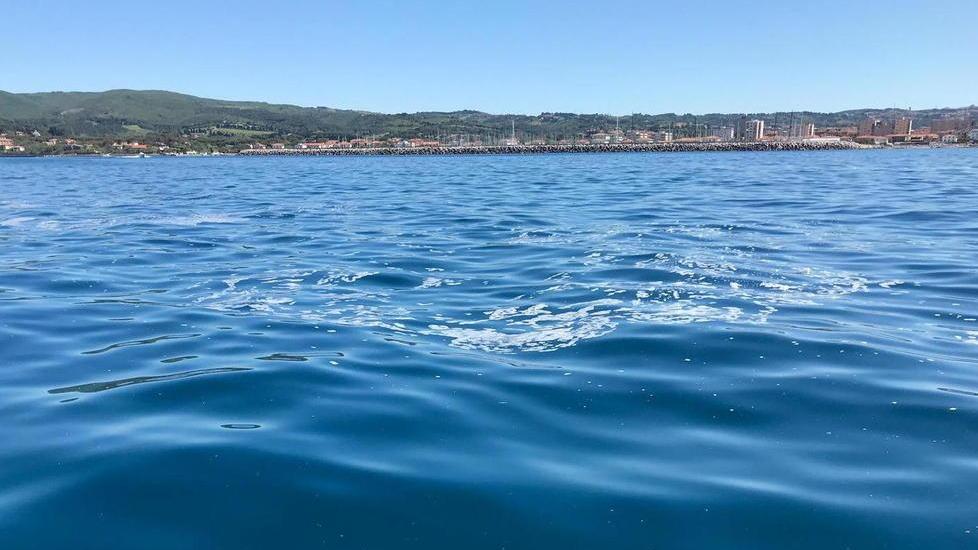 In mare compaiono schiume e chiazze