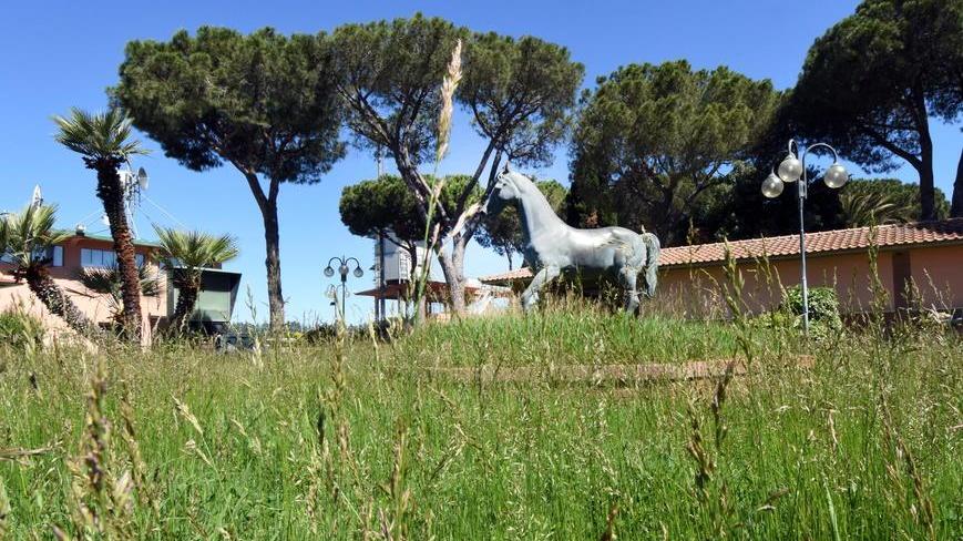 Fantini e allenatori «Noi tenuti all’oscuro Quanta amarezza»