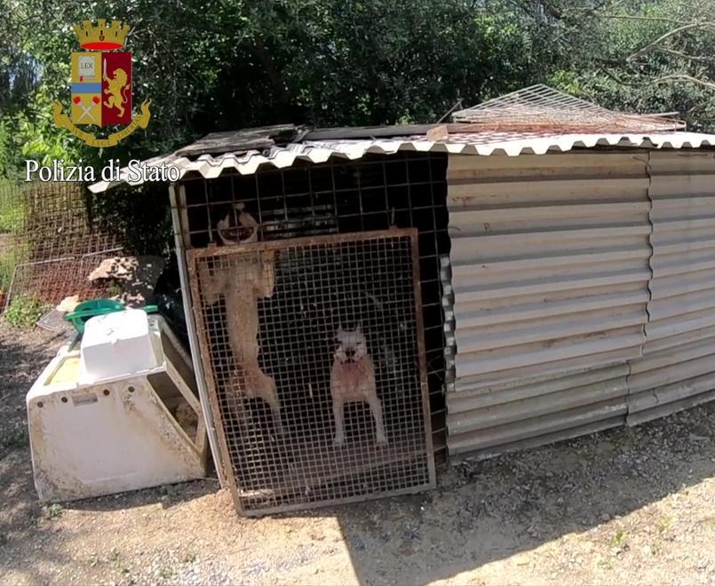 Era la mamma il “boss” del market della droga 