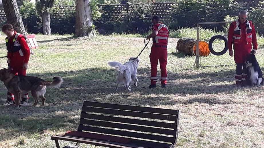 Cri con i cani in cerca di dispersi