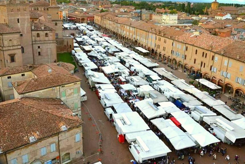 Carpi, butta rosmarino nell’indifferenziata: multa da 104 euro 
