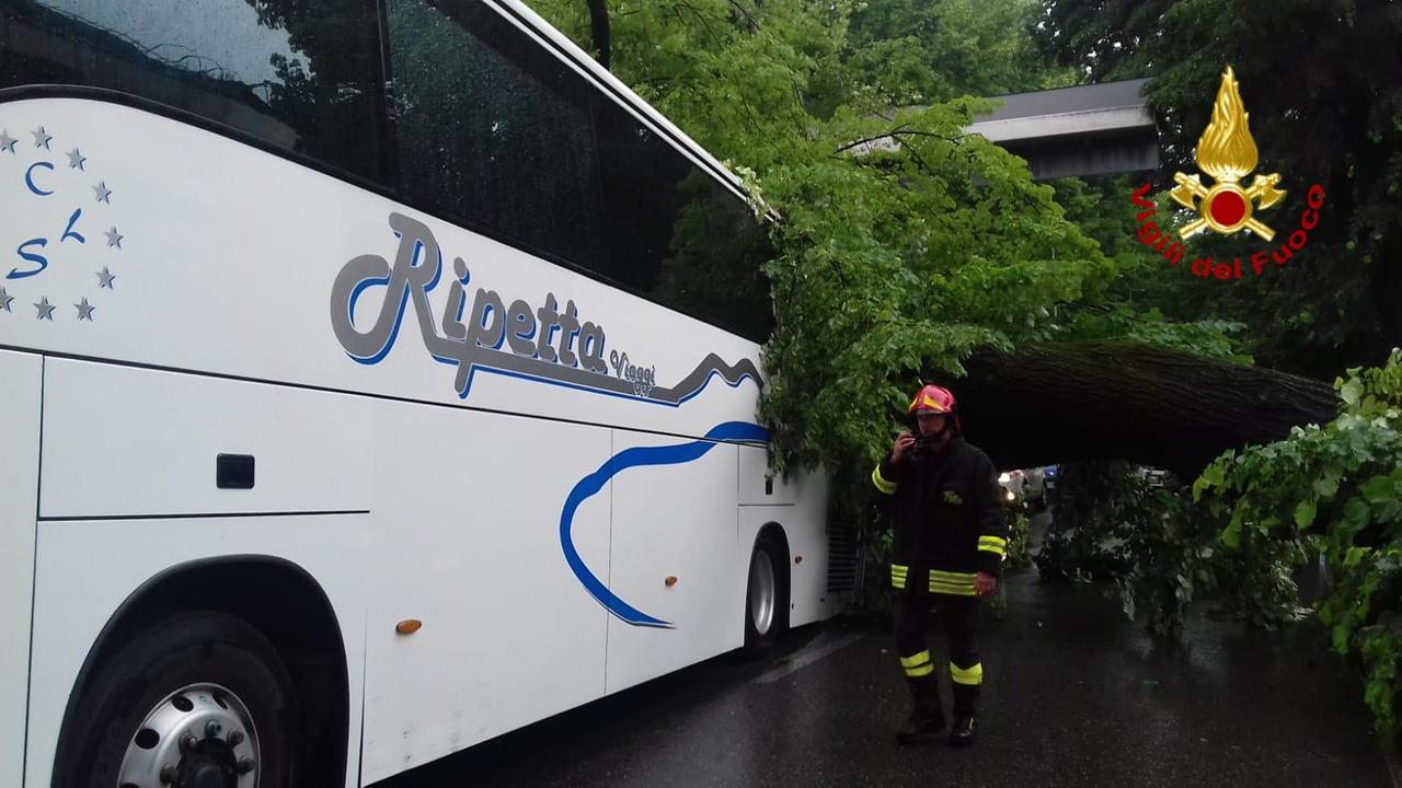 Maltempo, albero cade su un pullman in transito: ci sono feriti