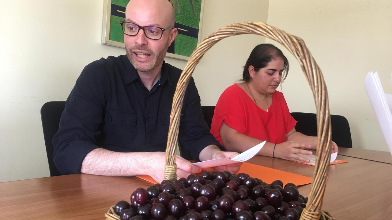 Il sindaco di Casciana Terme Lari Mirko Terreni durante la presentazione della sagra della ciliegia