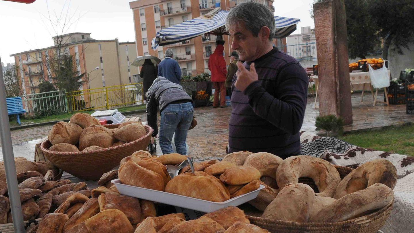 Produzioni biologiche le aziende sono in calo 