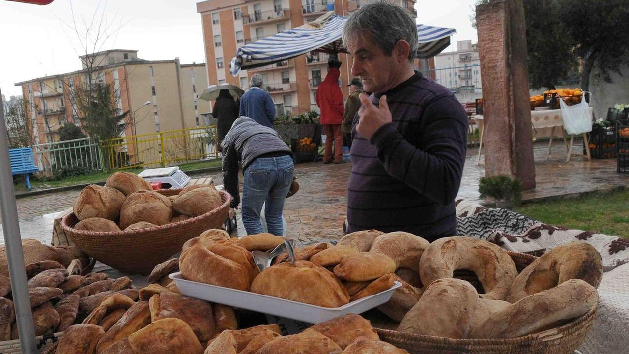 Produzioni biologiche le aziende sono in calo