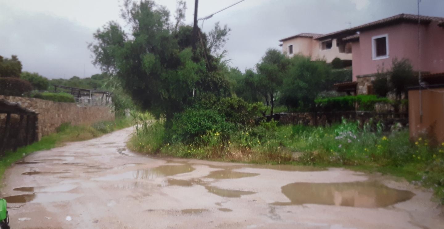 Festa a base di marijuana: 2 anni allo studente olbiese 