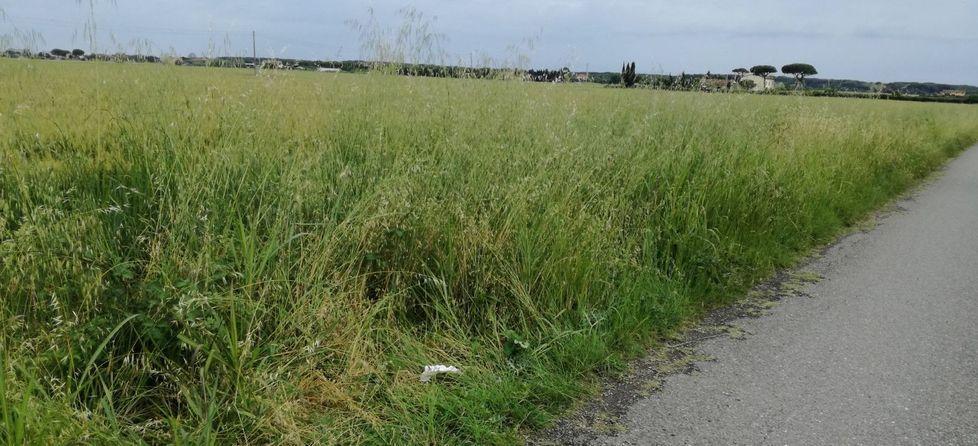 Travolto da un’auto pirata, ferito un ciclista di 24 anni 