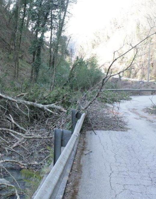 Boschi abbandonati Paesi della montagna a rischio idrogeologico 