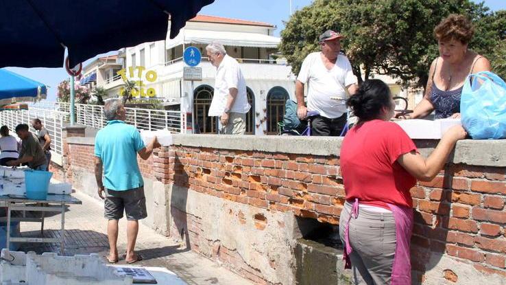 Sosta gratis col disco orario per chi compra il pesce
