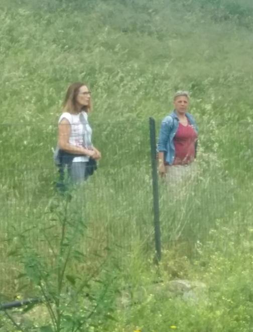 Cantiere Magona, cominciati i lavori 