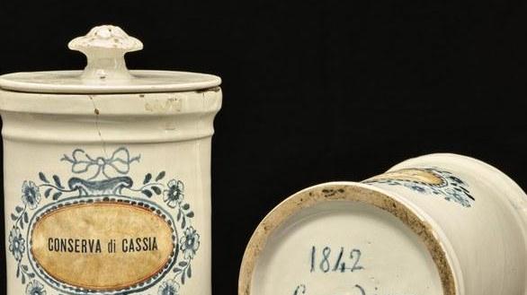 Le collezioni dei modenesi per i musei