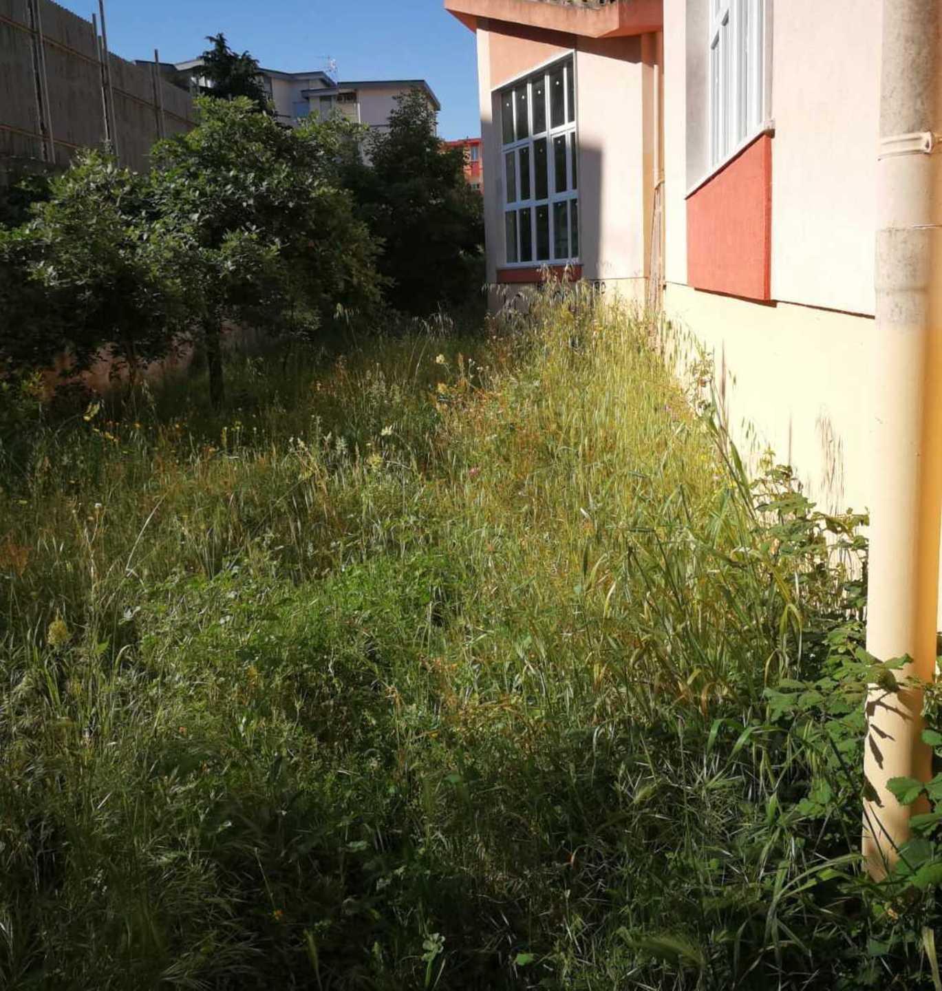 Troppe erbacce, bimbi chiusi in aula