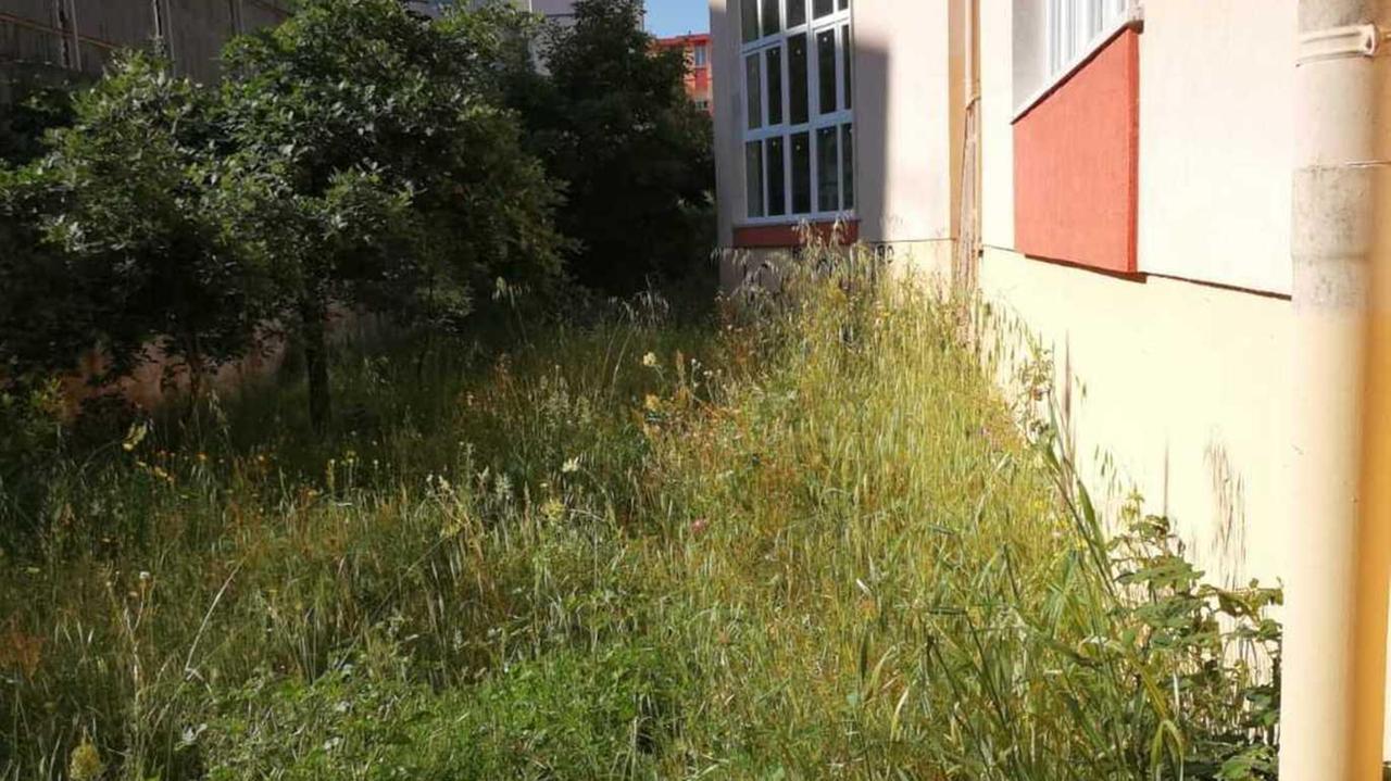 Troppe erbacce, bimbi chiusi in aula