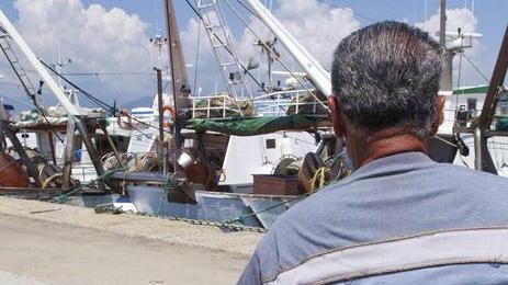 Arrivano i giganti e la pesca tradizionale rischia la crisi