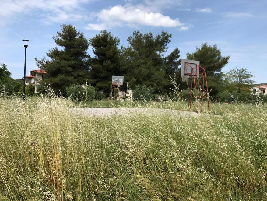 «Questa è una savana» Proteste per l’erba alta 