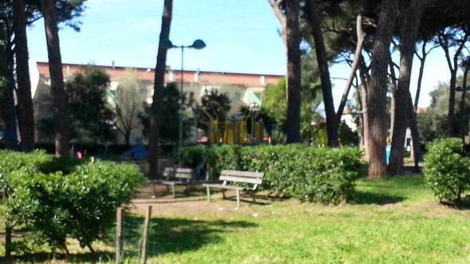 Più sorveglianza per i bambini in pineta
