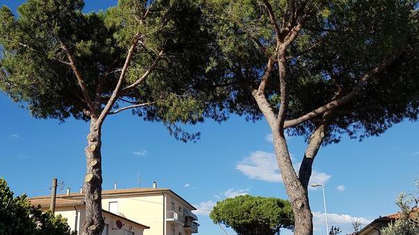 Cafaggio, telelaser contro la velocità