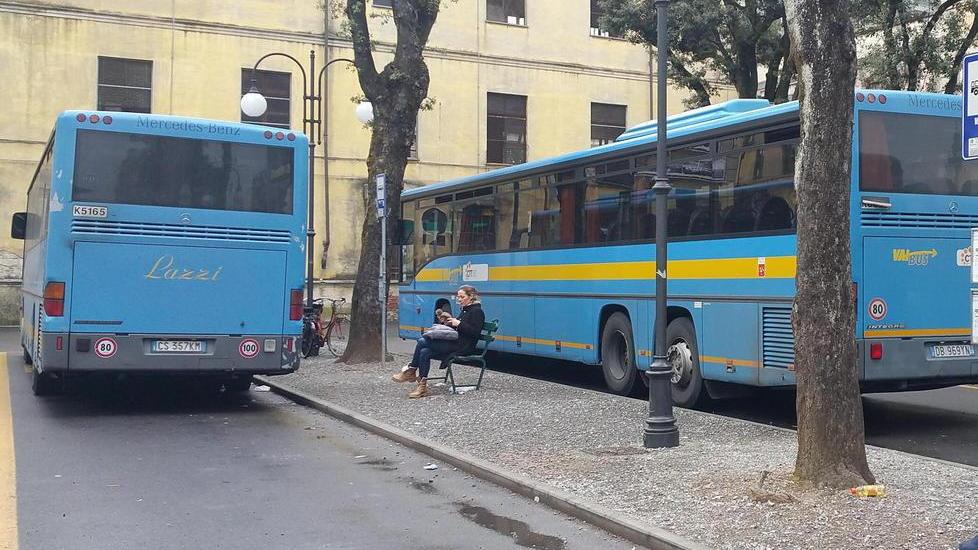 L’appello dell’Aci ai Comuni per installare le cinture sui bus