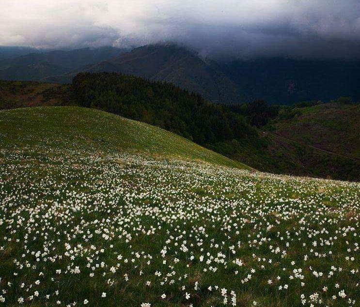 La natura dà spettacolo sul Prato Fiorito 