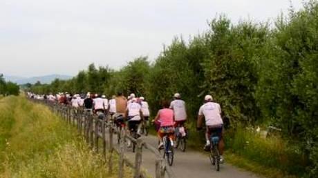 In bici alla scoperta della Diaccia Botrona