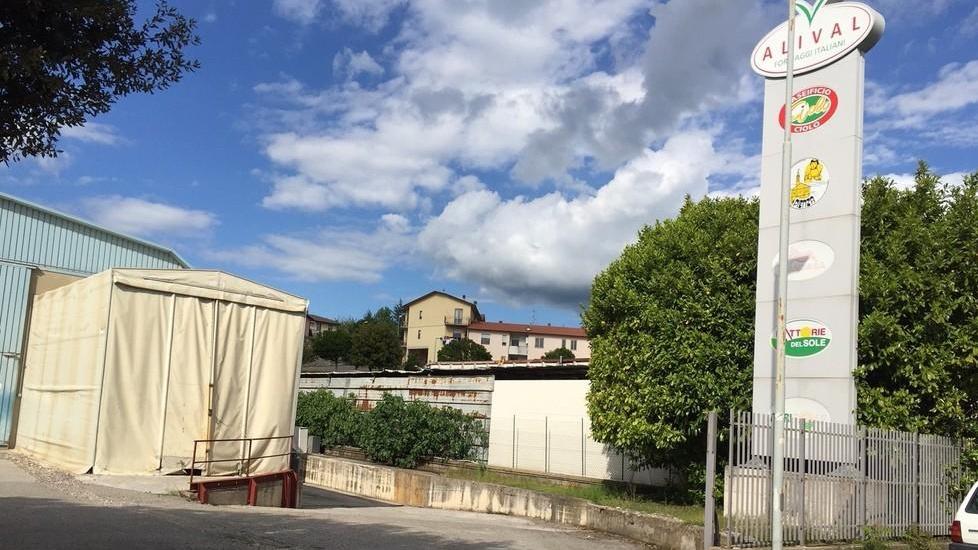 Caseificio Ciolo, niente esuberi Arrivano gli ammortizzatori