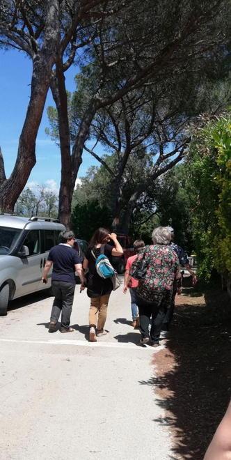 Bambino in gita si perde nel bosco 