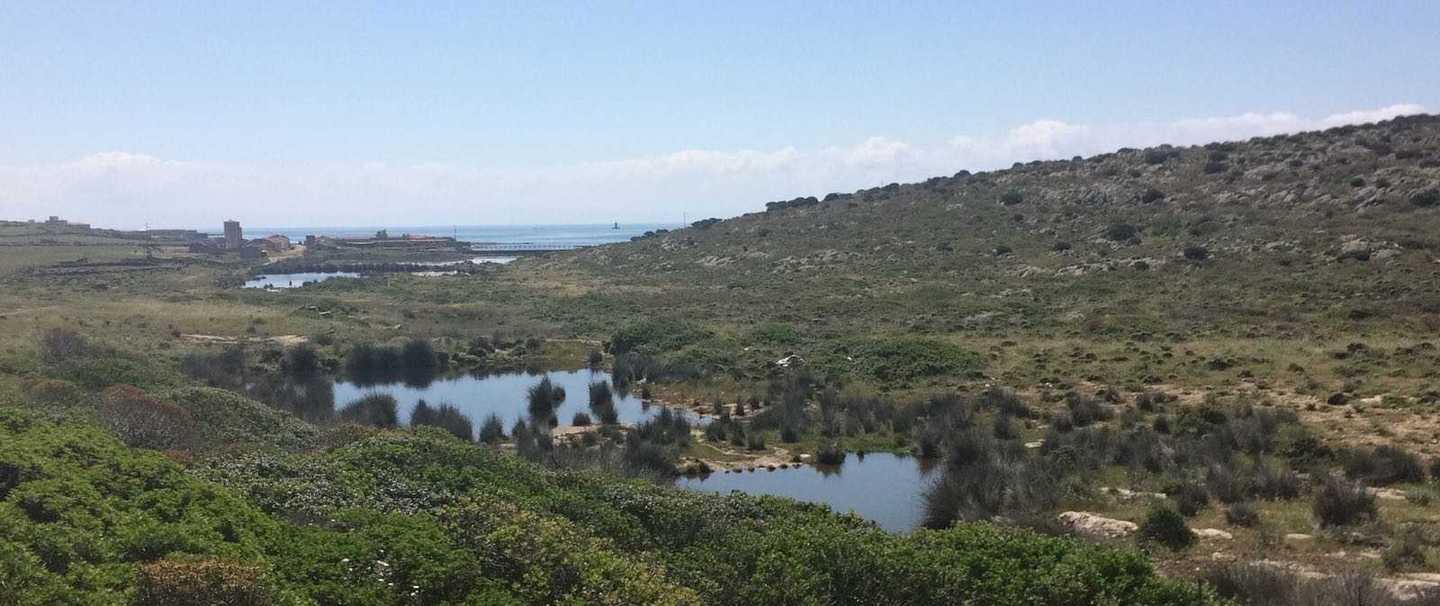 Emergenza acqua all’Asinara, l'Egas convoca un vertice 