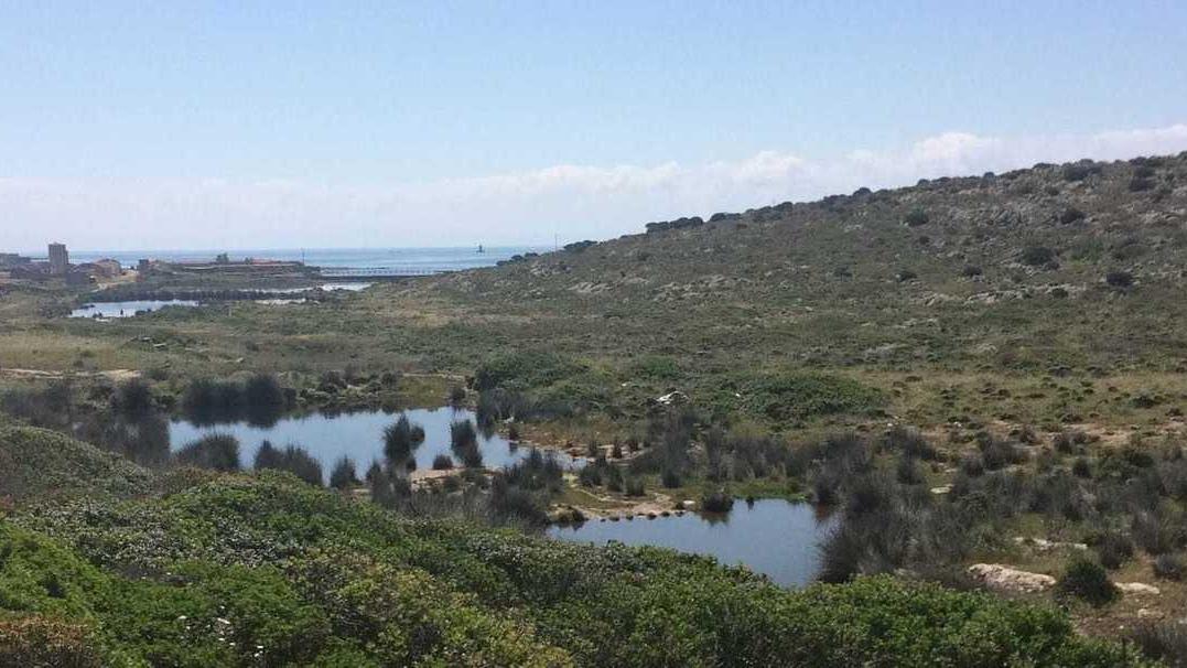 Emergenza acqua all’Asinara, l'Egas convoca un vertice 