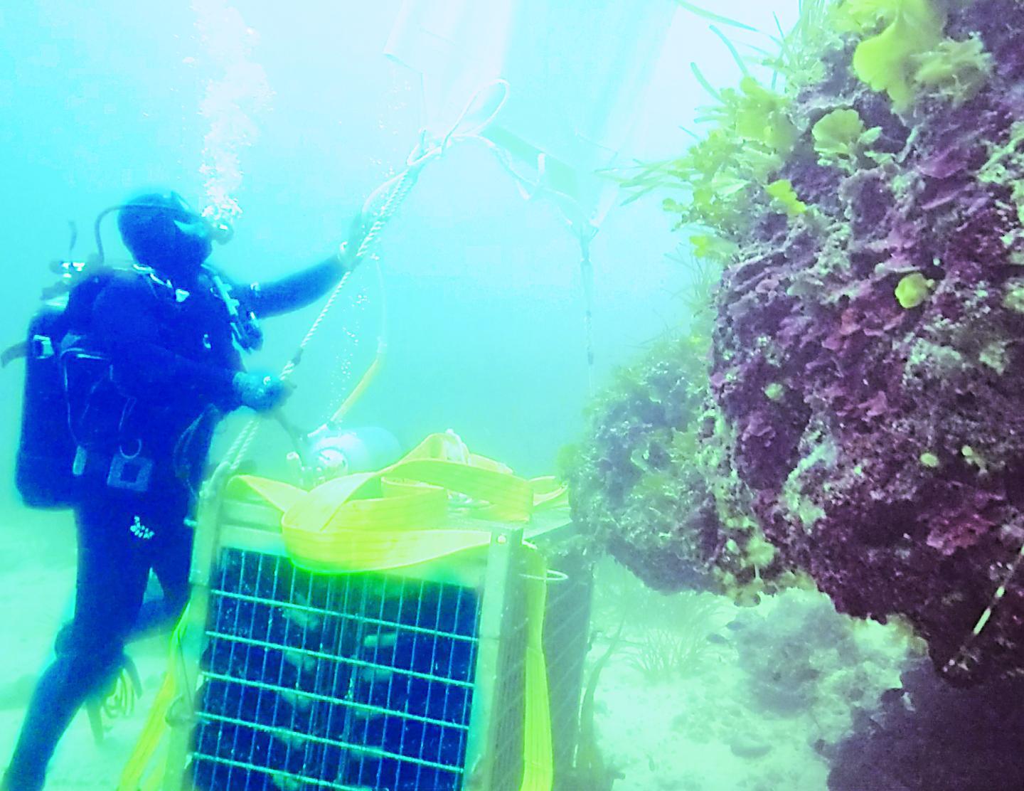 Alghero, la cantina sotto il mare