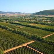 Azienda Ecofriendly: l’isolamento è di lana