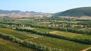 Azienda Ecofriendly: l’isolamento è di lana