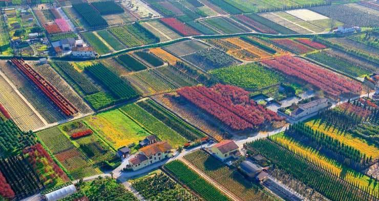 «Vivaisti in prima linea nella difesa dell’ambiente» 