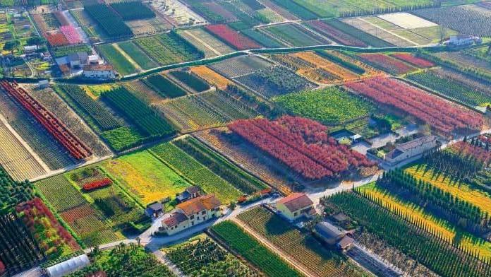 «Vivaisti in prima linea nella difesa dell’ambiente»