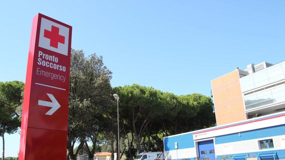 Il Versilia citato da una rivista scientifica Usa