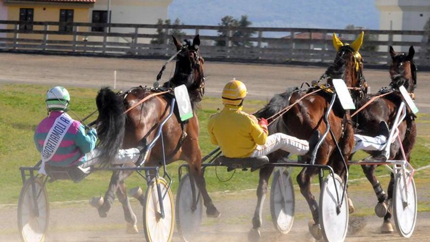 Galoppo, corse in stand-by a Follonica