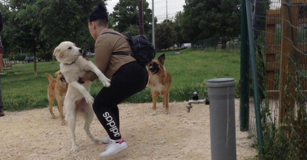 A Porcari un’area verde per i cani 