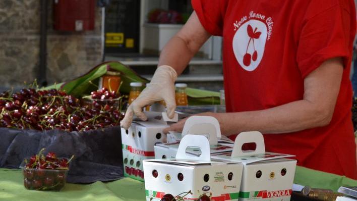 Ciliegie, in viale Mazzini le bancarelle dei produttori